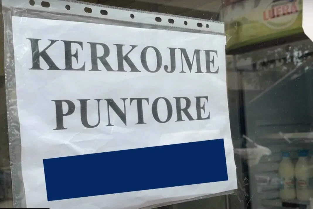 bizneset-kerkojen-punetore