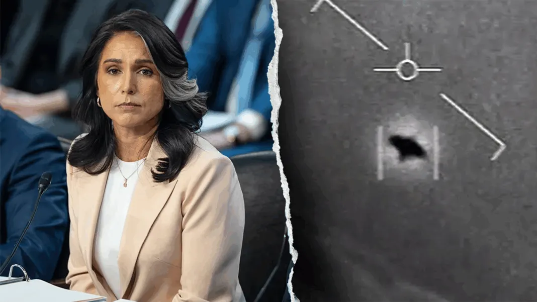 Tulsi Gabbard