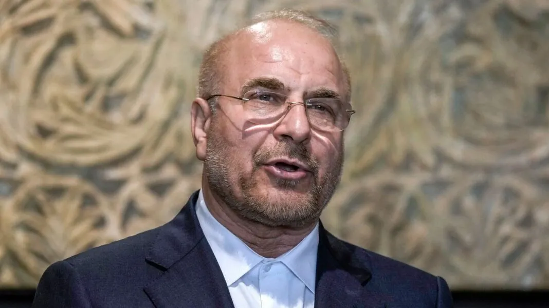 mohamed bagher